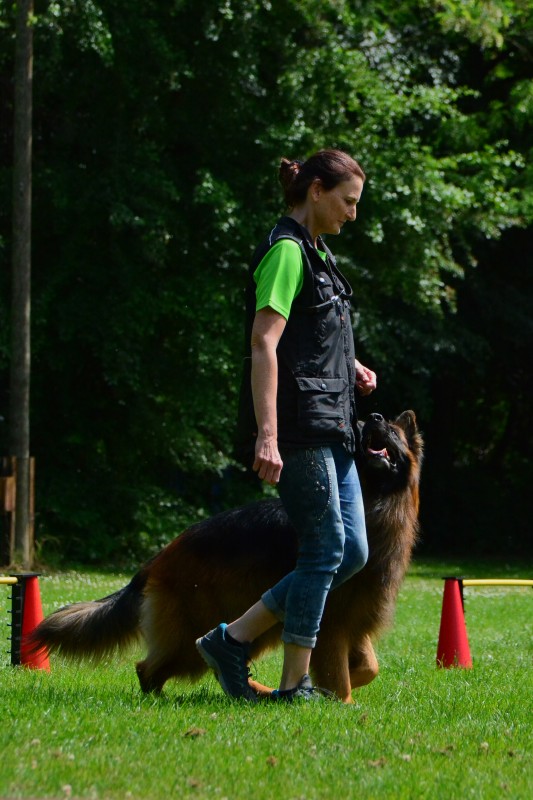 2022-05-22 Rally Obedience Turnier 137