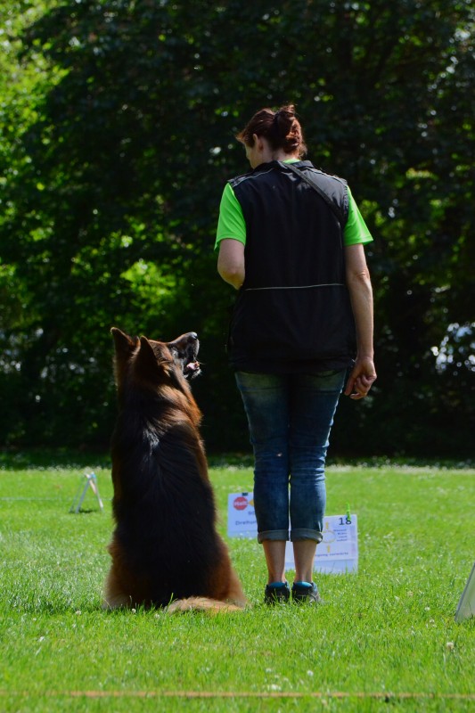 2022-05-22 Rally Obedience Turnier 138