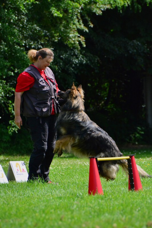 2022-05-22 Rally Obedience Turnier 146