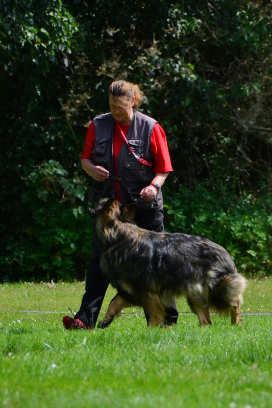2022-05-22 Rally Obedience Turnier 147