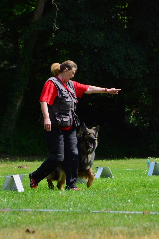 2022-05-22 Rally Obedience Turnier 148