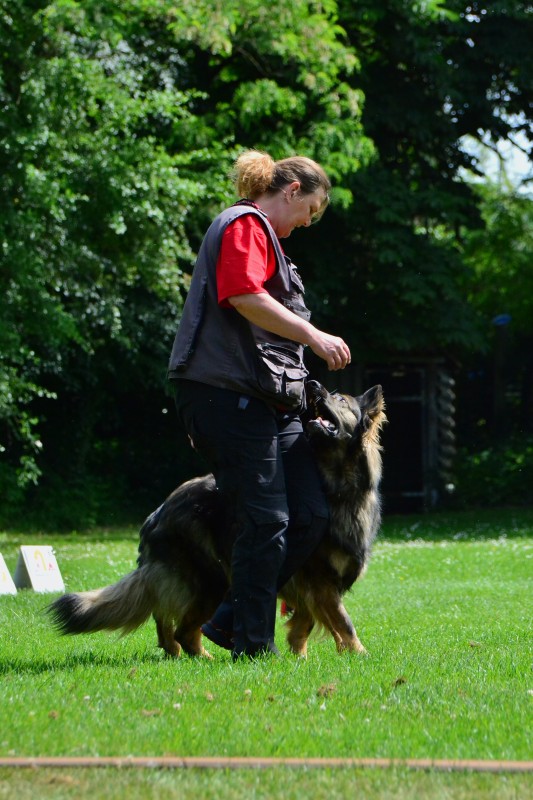 2022-05-22 Rally Obedience Turnier 149