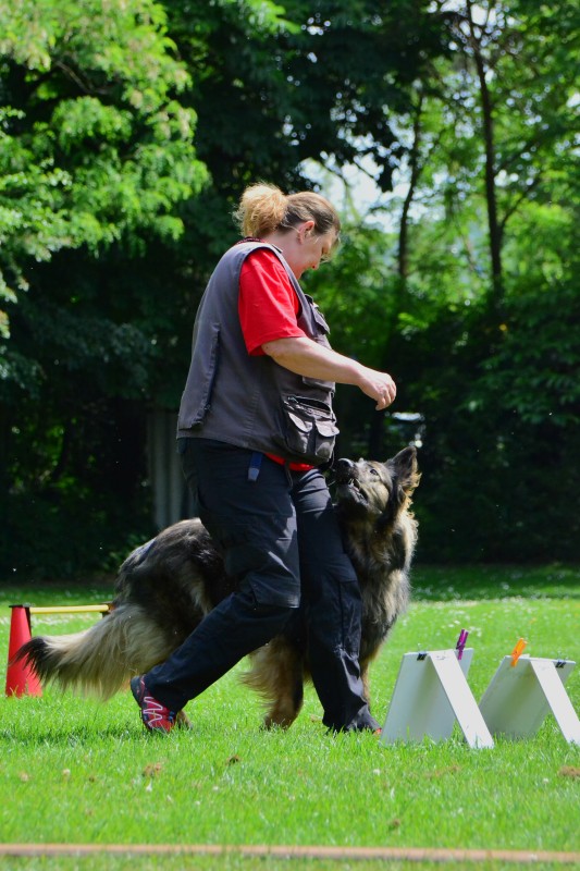 2022-05-22 Rally Obedience Turnier 150