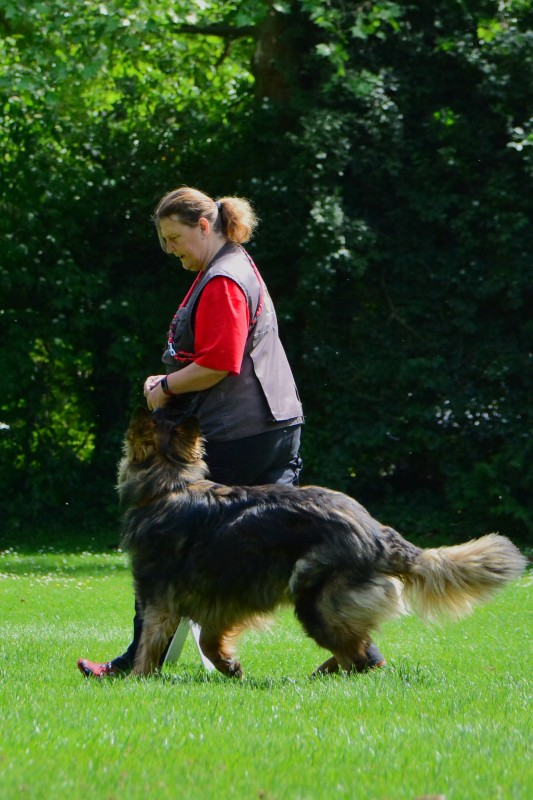 2022-05-22 Rally Obedience Turnier 151