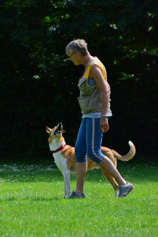 2022-05-22 Rally Obedience Turnier 152