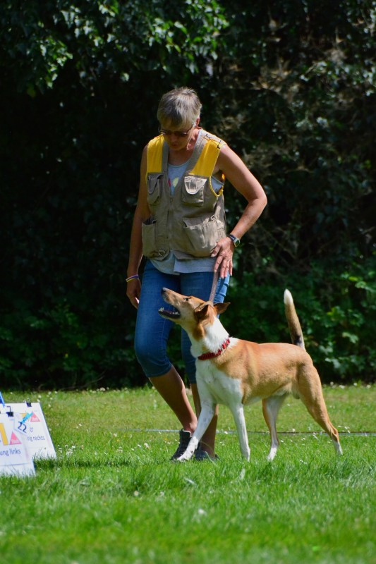 2022-05-22 Rally Obedience Turnier 154