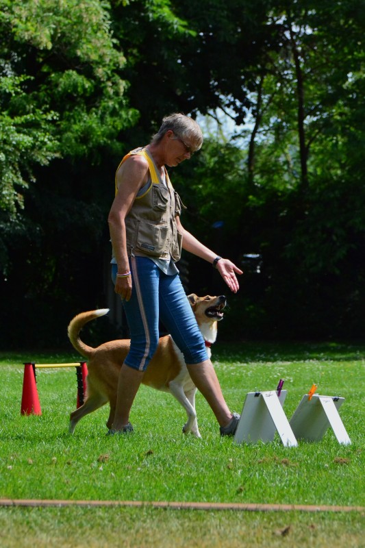 2022-05-22 Rally Obedience Turnier 155