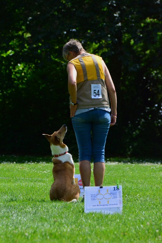 2022-05-22 Rally Obedience Turnier 156