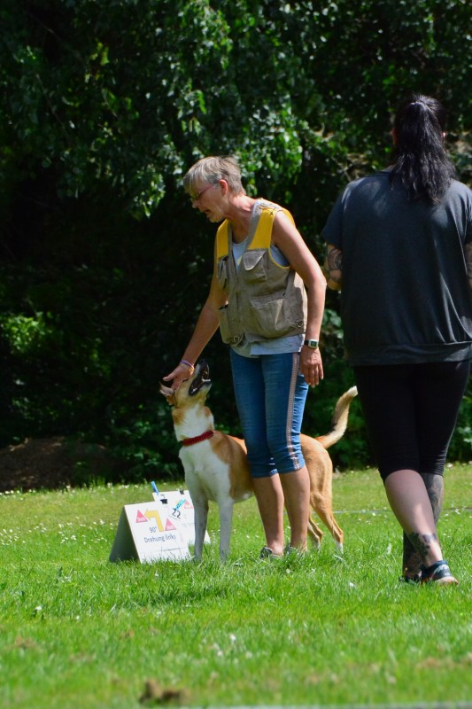 2022-05-22 Rally Obedience Turnier 157