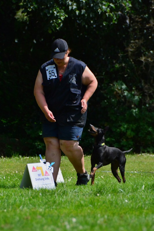 2022-05-22 Rally Obedience Turnier 160