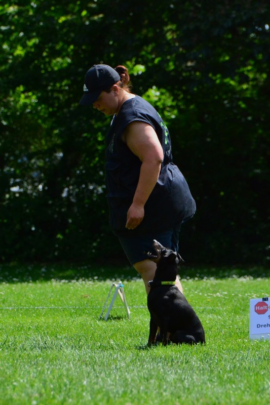 2022-05-22 Rally Obedience Turnier 163
