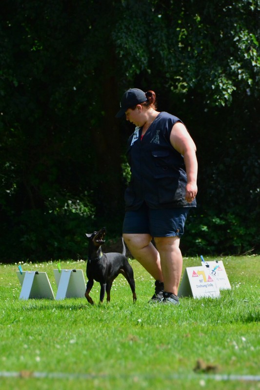 2022-05-22 Rally Obedience Turnier 164