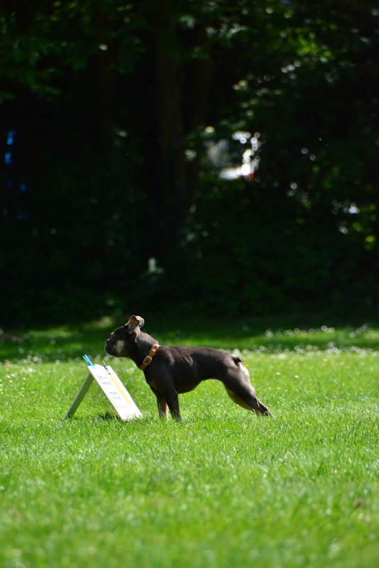2022-05-22 Rally Obedience Turnier 166