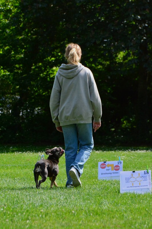 2022-05-22 Rally Obedience Turnier 173
