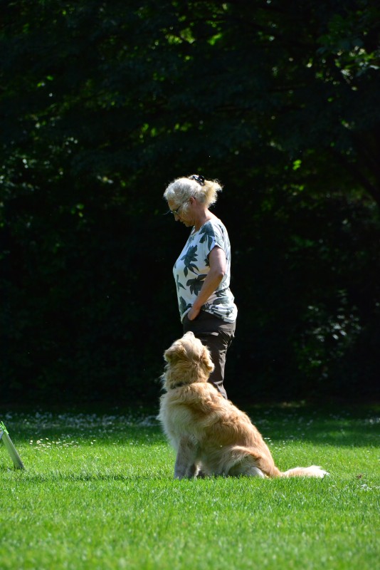 2022-05-22 Rally Obedience Turnier 174