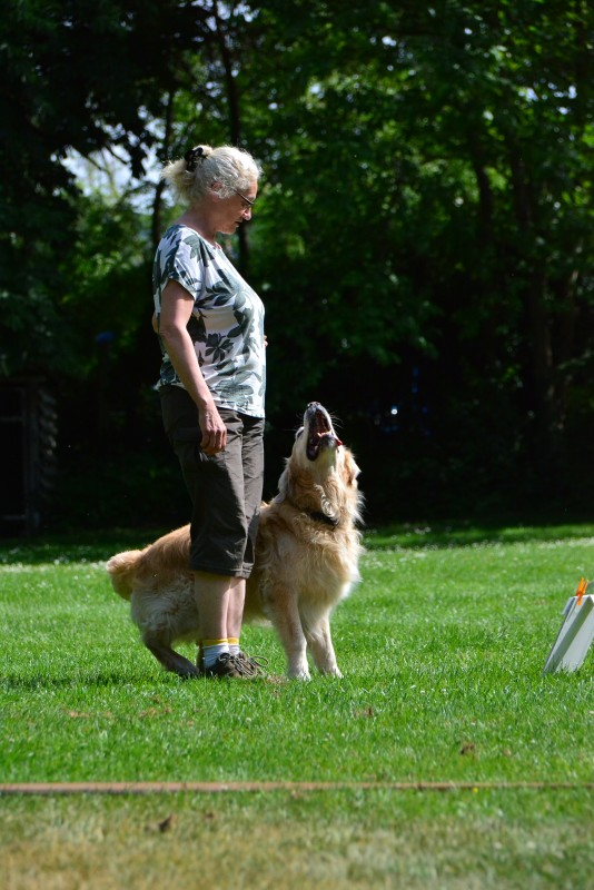 2022-05-22 Rally Obedience Turnier 177