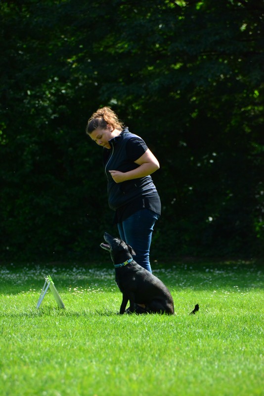 2022-05-22 Rally Obedience Turnier 180