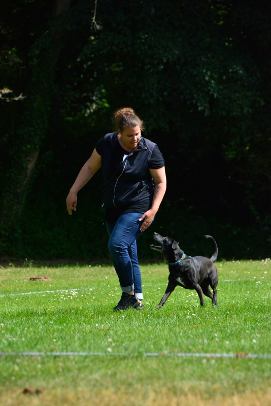 2022-05-22 Rally Obedience Turnier 181