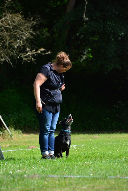 2022-05-22 Rally Obedience Turnier 183