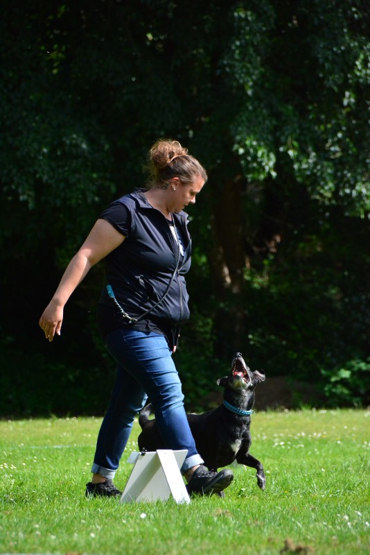 2022-05-22 Rally Obedience Turnier 184