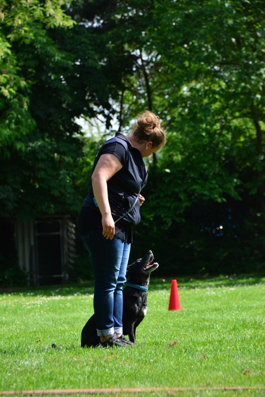 2022-05-22 Rally Obedience Turnier 185