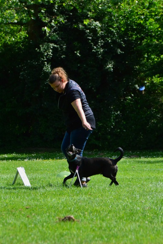 2022-05-22 Rally Obedience Turnier 186