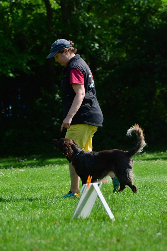 2022-05-22 Rally Obedience Turnier 190