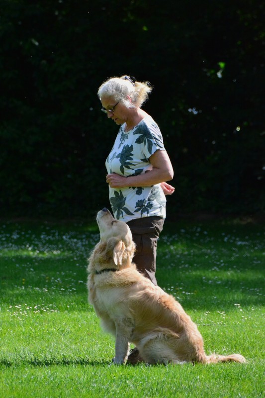 2022-05-22 Rally Obedience Turnier 191