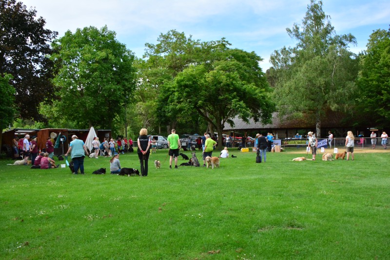 2022-05-22 Rally Obedience Turnier 196