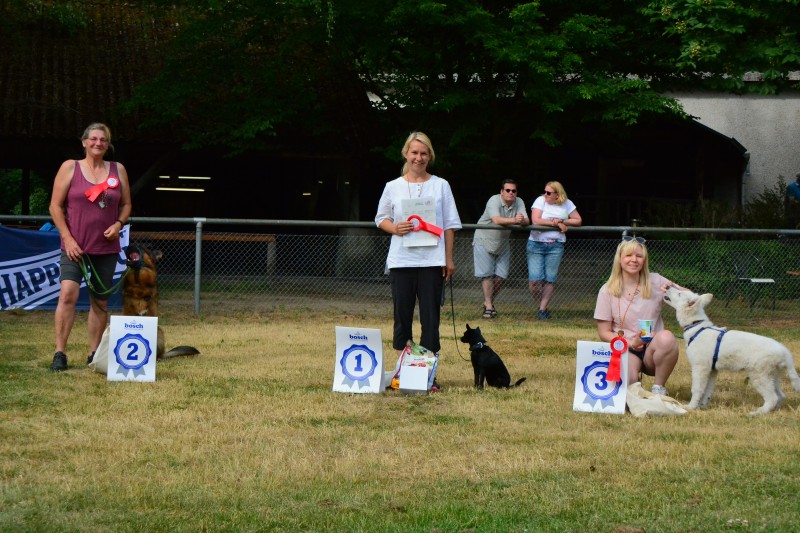2022-05-22 Rally Obedience Turnier 202