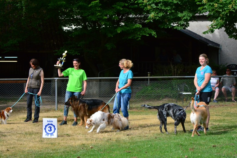 2022-05-22 Rally Obedience Turnier 210