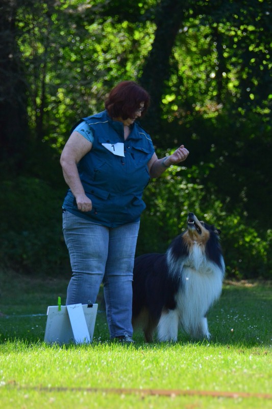 2022-05-22 Rally Obedience Turnier 213