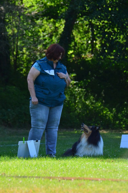 2022-05-22 Rally Obedience Turnier 214