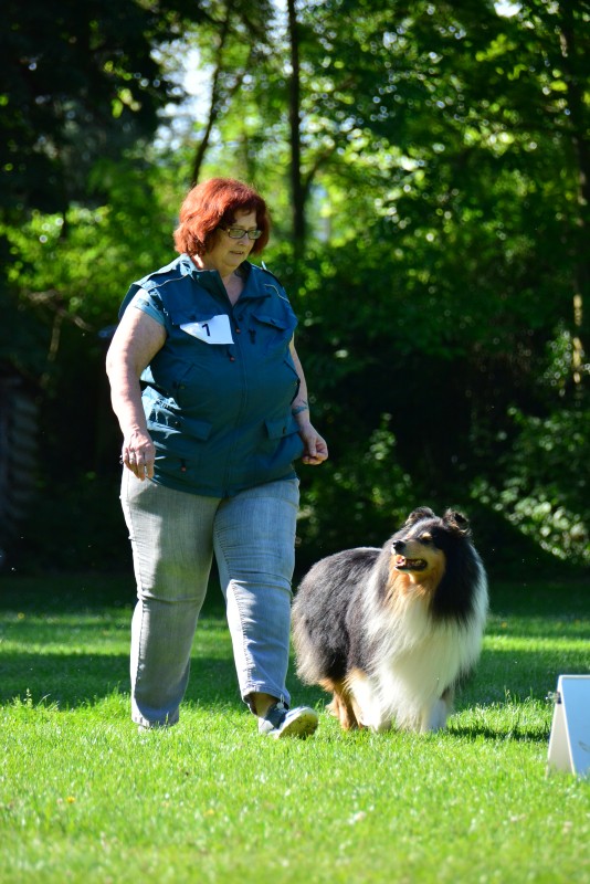 2022-05-22 Rally Obedience Turnier 217