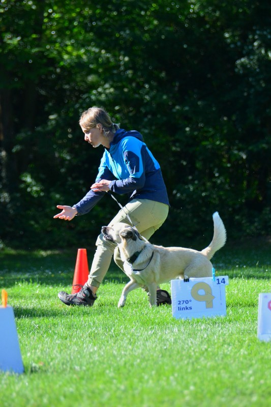2022-05-22 Rally Obedience Turnier 219