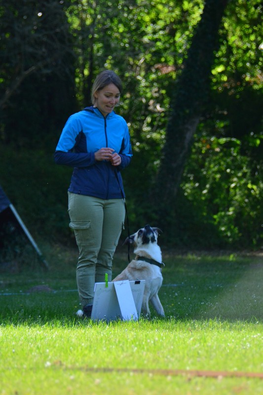 2022-05-22 Rally Obedience Turnier 220