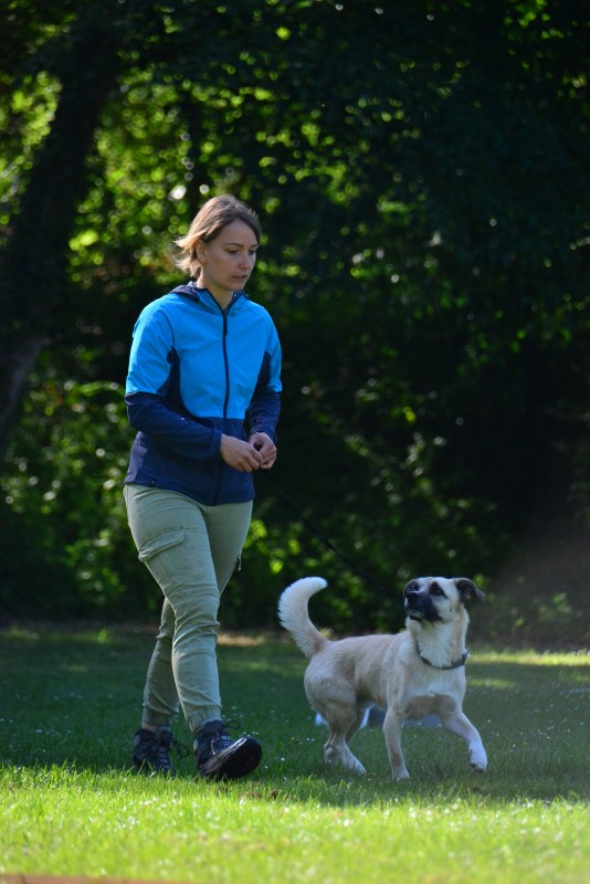 2022-05-22 Rally Obedience Turnier 221