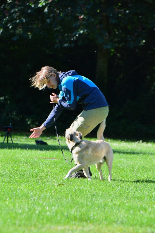 2022-05-22 Rally Obedience Turnier 222