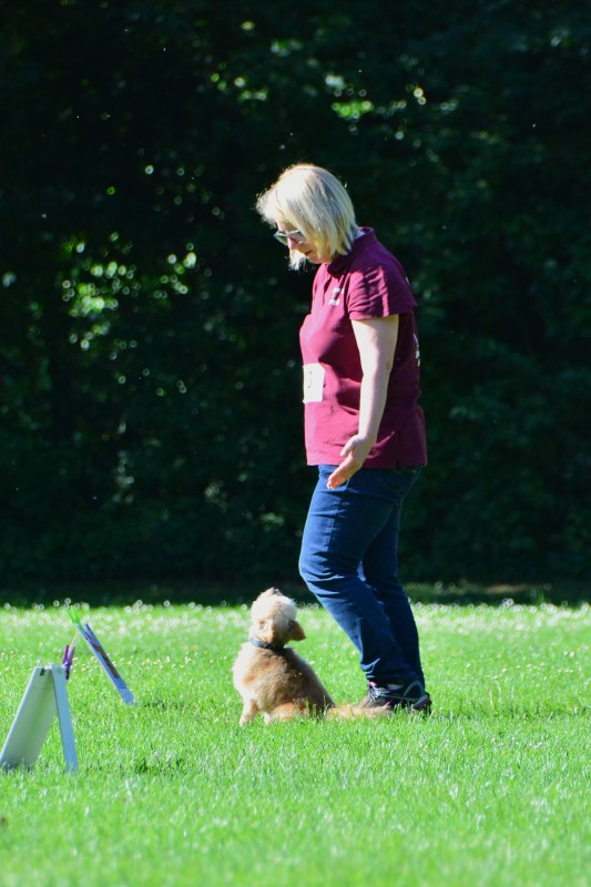 2022-05-22 Rally Obedience Turnier 223