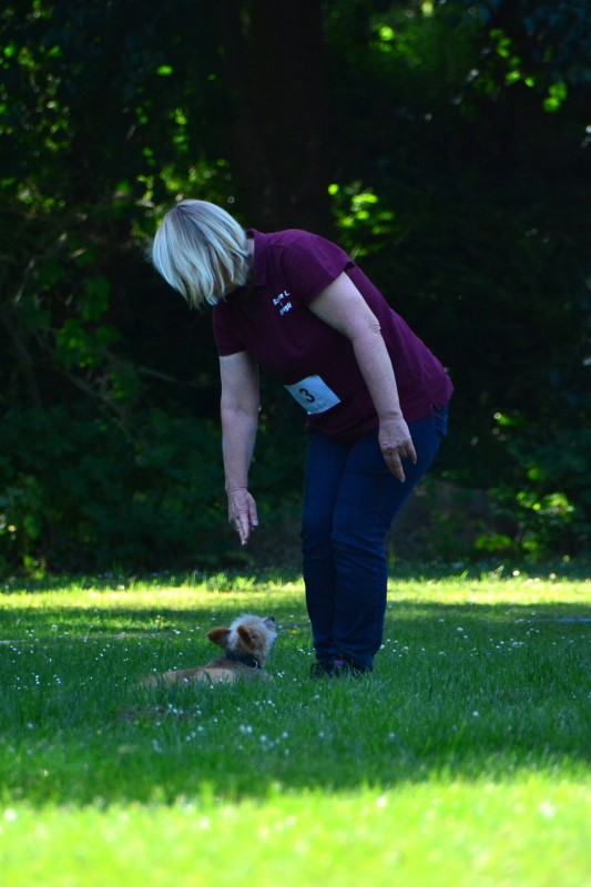 2022-05-22 Rally Obedience Turnier 224