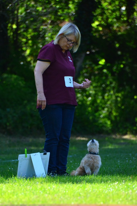 2022-05-22 Rally Obedience Turnier 225