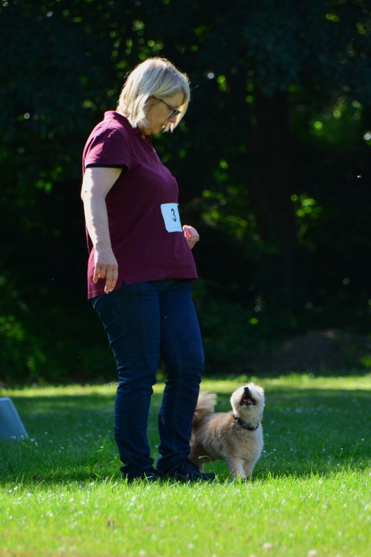 2022-05-22 Rally Obedience Turnier 226
