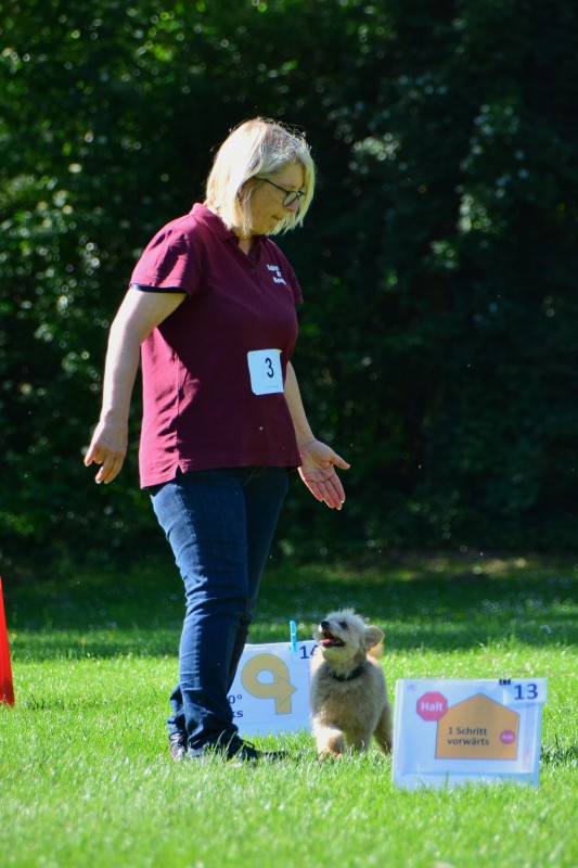 2022-05-22 Rally Obedience Turnier 228
