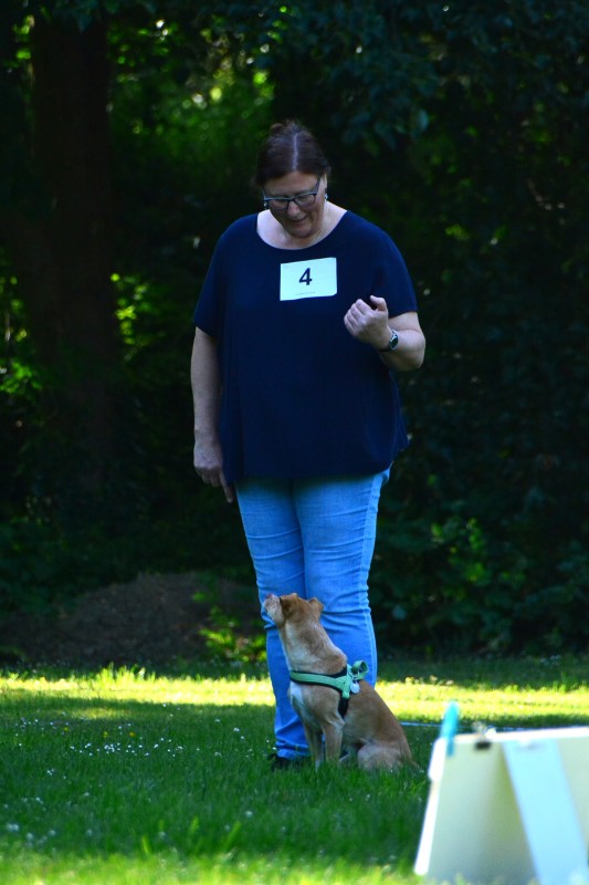 2022-05-22 Rally Obedience Turnier 229