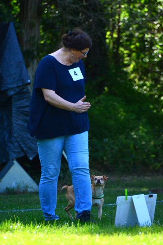2022-05-22 Rally Obedience Turnier 230