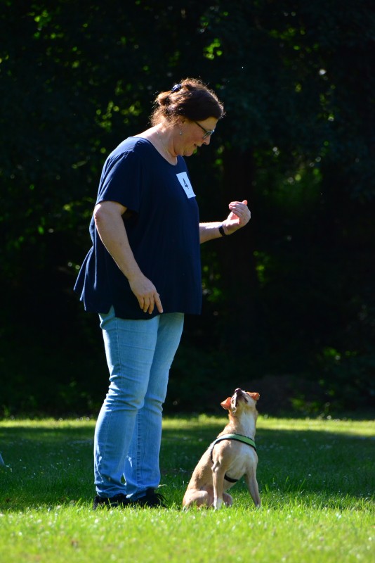 2022-05-22 Rally Obedience Turnier 231
