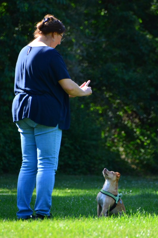 2022-05-22 Rally Obedience Turnier 232