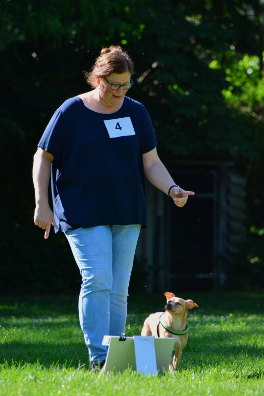 2022-05-22 Rally Obedience Turnier 233