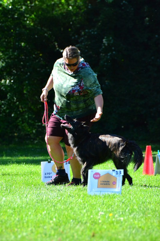 2022-05-22 Rally Obedience Turnier 239