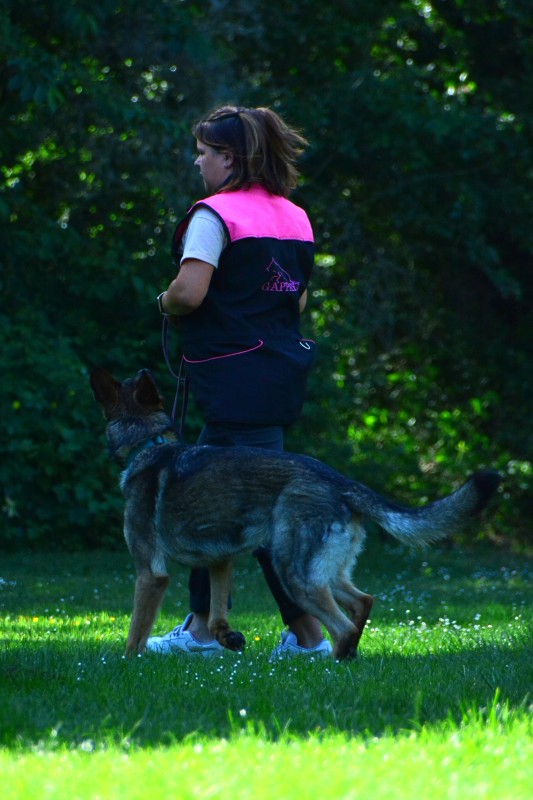 2022-05-22 Rally Obedience Turnier 240